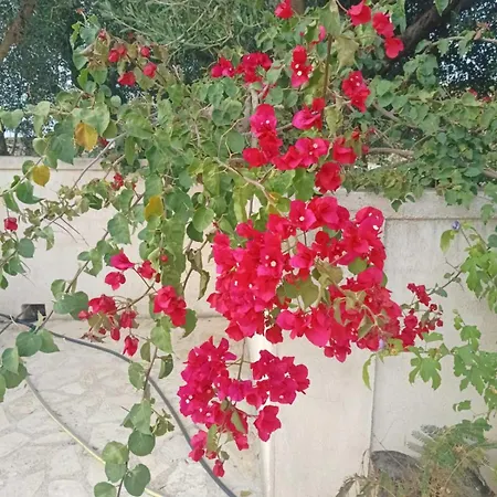 Aero Kefalonia *