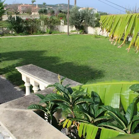 فيلة Aero Kefalonia Lakíthra