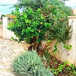 Aero Kefalonia فيلة Lakíthra