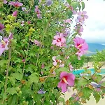 Aero Kefalonia *