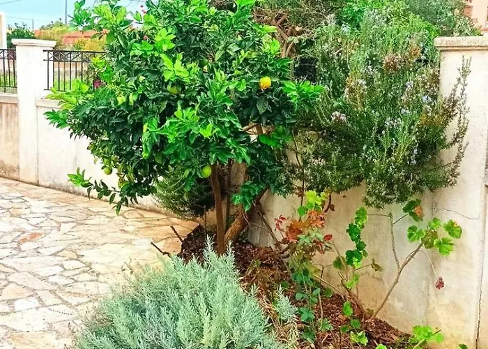 Aero Kefalonia Willa Lakíthra